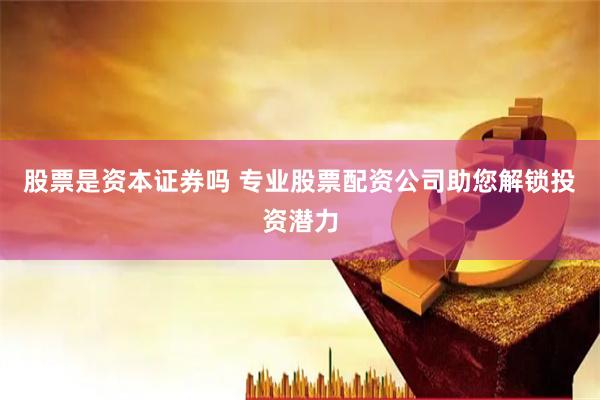 股票是资本证券吗 专业股票配资公司助您解锁投资潜力