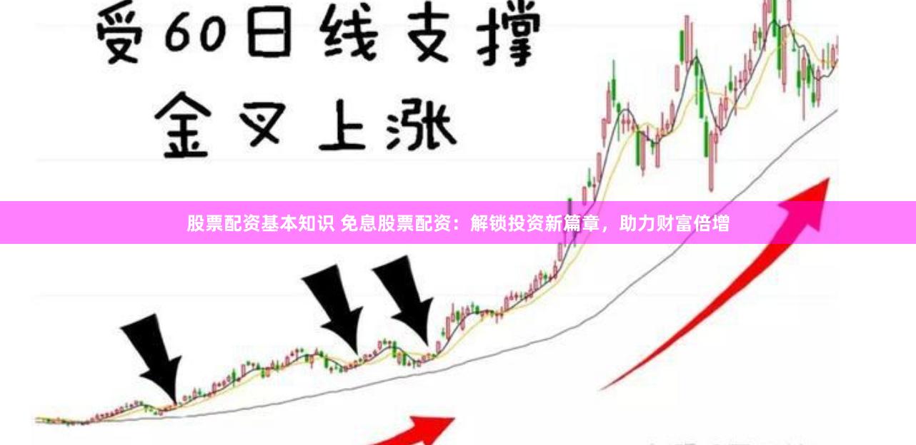 股票配资基本知识 免息股票配资：解锁投资新篇章，助力财富倍增
