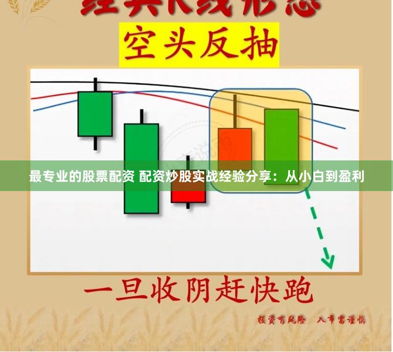 最专业的股票配资 配资炒股实战经验分享:从小白到盈利