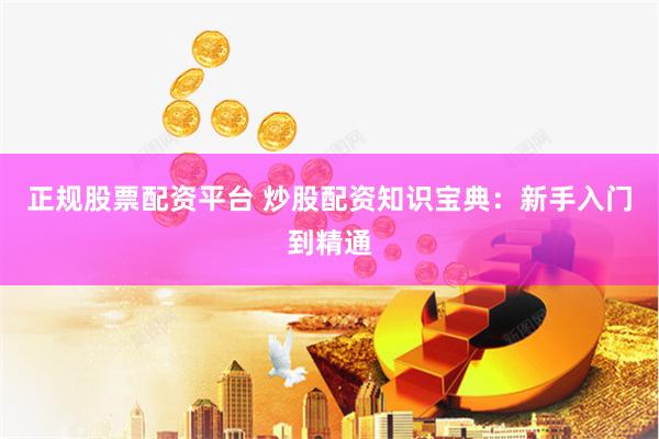 正规股票配资平台 炒股配资知识宝典：新手入门到精通