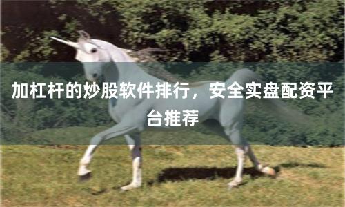 加杠杆的炒股软件排行，安全实盘配资平台推荐